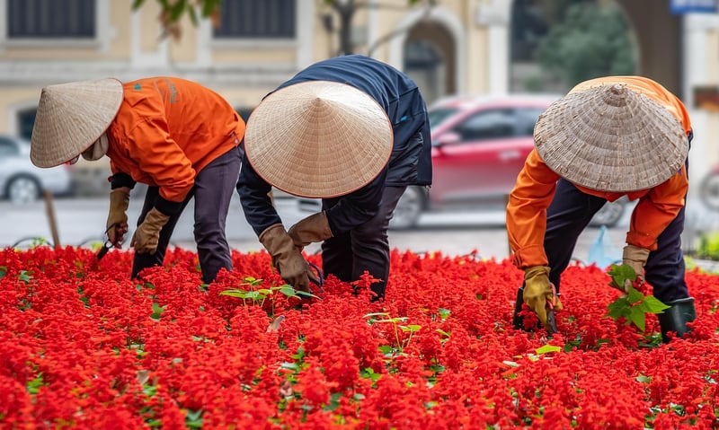 Urban Gardening Community